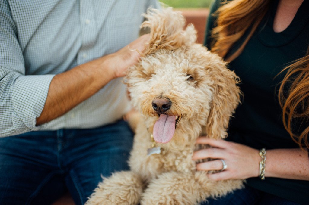 outdoor lifestyle portrait session with dog in austin texas,