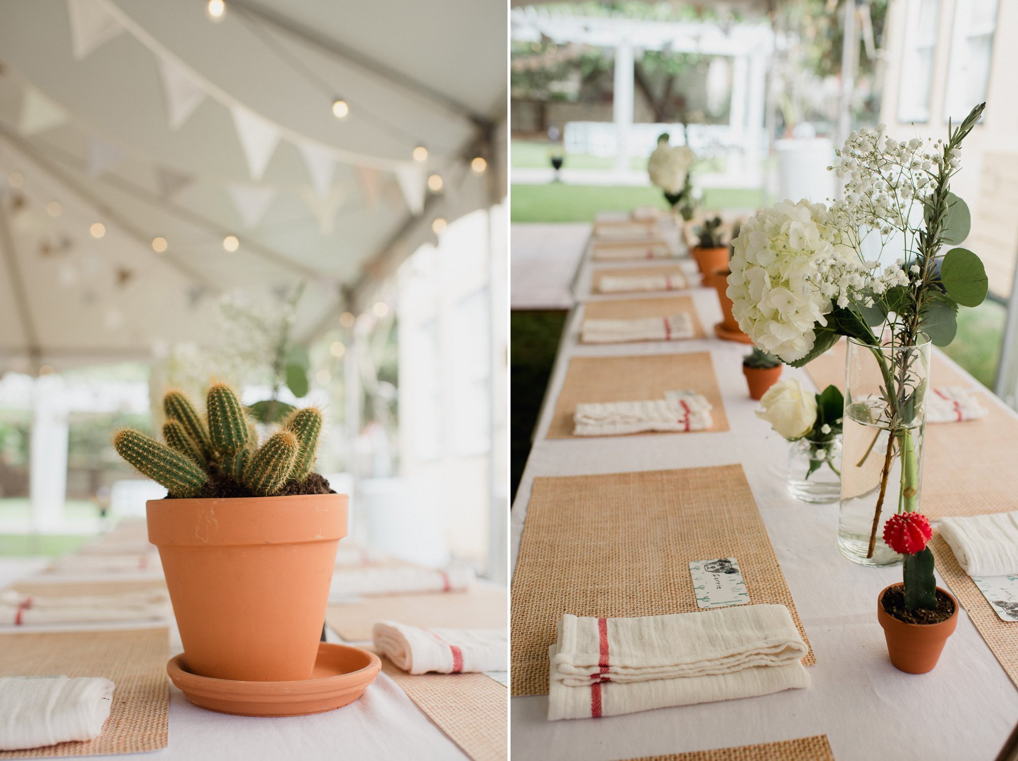 organic, cactus san antonio backyard wedding details, DIY wedding in texas