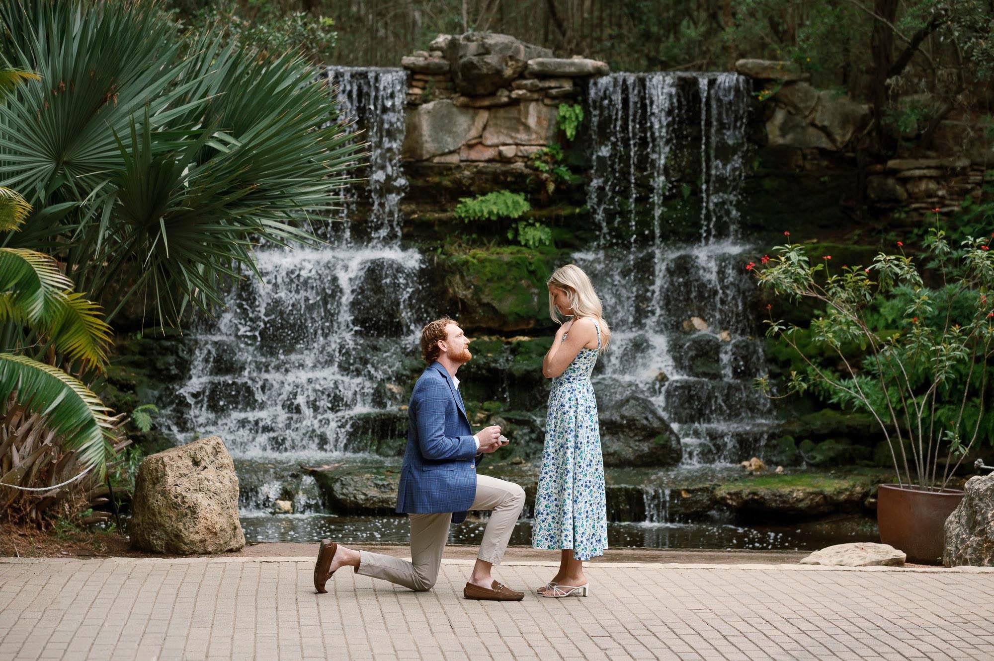 zilker botanical garden proposal 2026