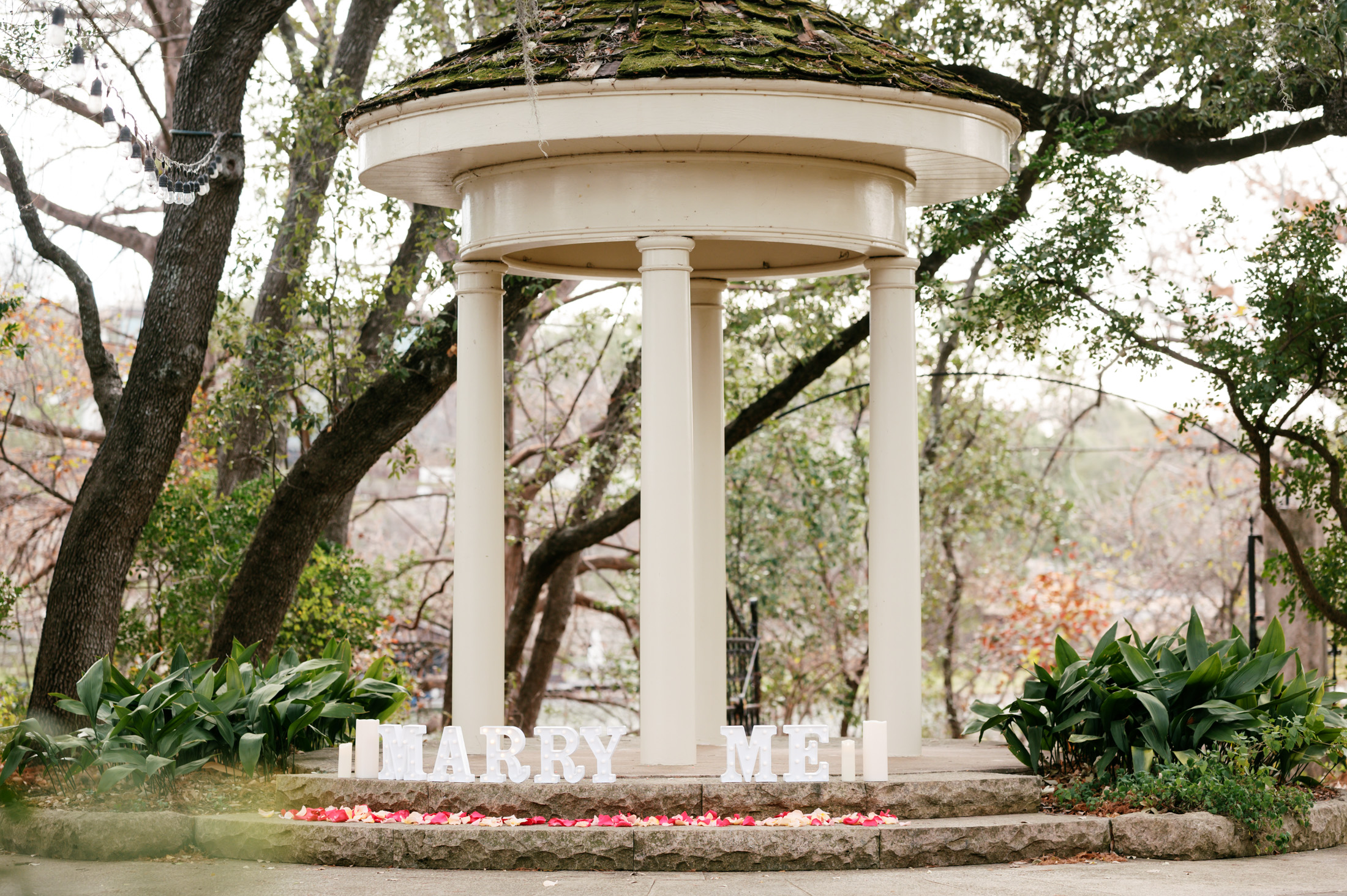 Marry Me Letters and rose petals scattered around the Temple of Love  at an Austin proposal