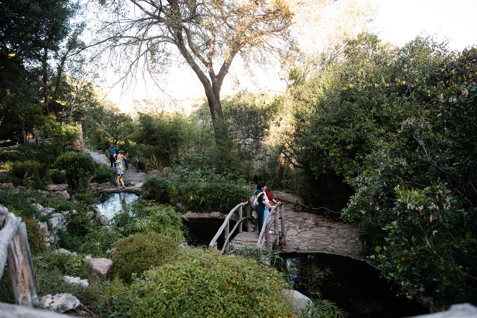 How to propose at Zilker Botanical Garden - Caitlin McWeeney Photography